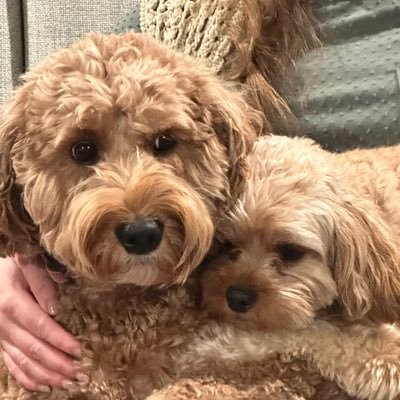 Amanda Bradberry Profile