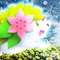 Charmie on X: It has taken 5 long months but finally a Shaymin has spawned for me (i didn't even notice till someone pointed it out :O) / X
