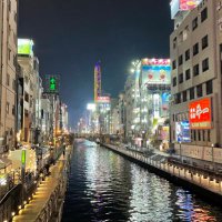 すღてさん🦉🥝 (@stfox_1005) 's Twitter Profile