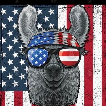 Just a Conservative Llama