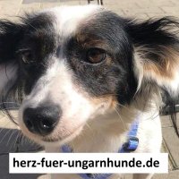 Andreas Huebner; anbee (@anbee57) 's Twitter Profile