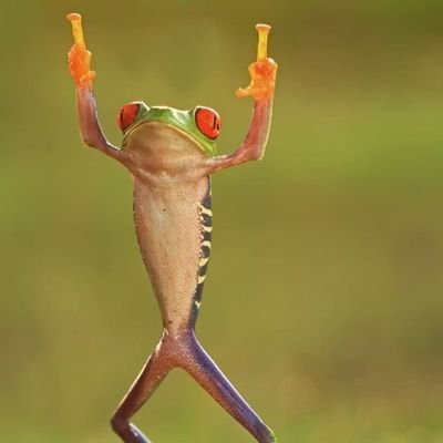 laeleaguy's profile picture. Hi and welcome to my world full of craziness