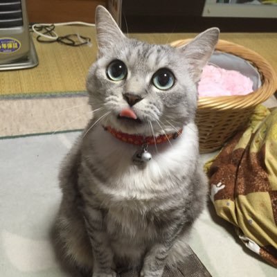 nana✩︎⡱様 リクエスト 3点 まとめ商品 nana様 リクエスト 3点 まとめ商品 - メルカリ