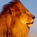 derick perez - @pusylovr - Twitter