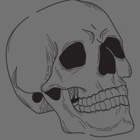Skellia (@drinkingdecades) 's Twitter Profile