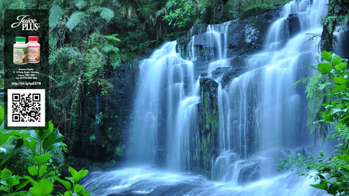 juiceplusbetter's profile picture. The World Health Organisation recommends we eat 5 to 9 servings of fruits and vegetables every day. Most people don't come anywhere close.