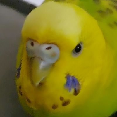 びるさんのプロフィール画像