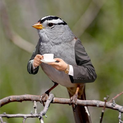 small_meeps's profile picture. bored white girl, early 30s
( o,......,o)