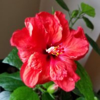 AndrewLove (@andrewlovetweet) 's Twitter Profile