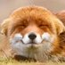 DrVenn (@drvennlee) Twitter profile photo DrVenn (@drvennlee) Twitter profile photo