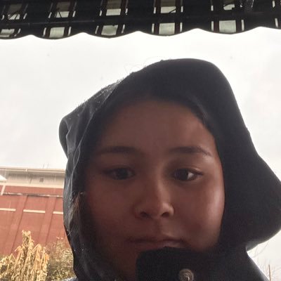sorry 2 all the ppl finding my twt there’s no going back, this is basically a stan acct