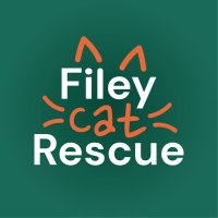 Filey Cat Rescue (@fileycatrescue) 's Twitter Profile