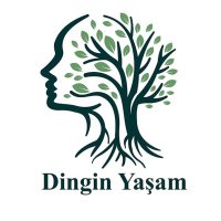 Dingin Yaşam(@DinginYasam) 's Twitter Profile Photo