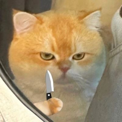 jst20020618's profile picture. 