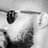 Nasirdeeeen's profile image