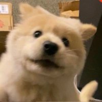 aserz (@aserzr6) 's Twitter Profile Photo aserz (@aserzr6) 's Twitter Profile Photo