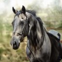 Amanda Stiles ❤️ Memecoin - @AmandaS91472854 - Twitter