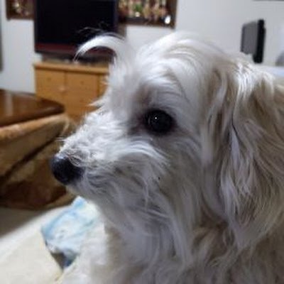 yamiinu2005's profile picture. グラブルとたまにプロセカをやる犬。U⁠ ⁠´⁠꓃⁠ ⁠`⁠ ⁠U
グラブルだとハーゼとワム、プロセカだと
えむ推しの極限20歳