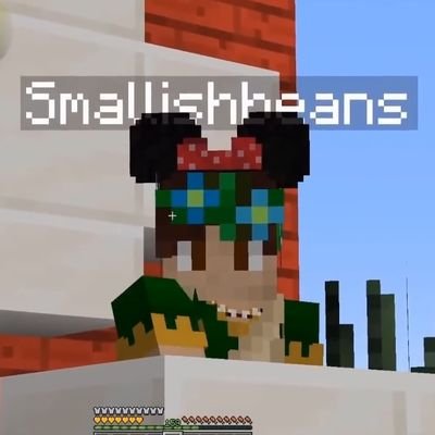 i like the silly block game | 16 | joel smallishbeans 🔛🔝 | shadow cadet 4 lifeeee