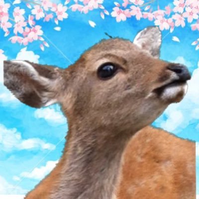 くろ🐾ねこさんのプロフィール画像