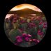 Miga Bagon (@miga_bagon) Twitter profile photo Miga Bagon (@miga_bagon) Twitter profile photo