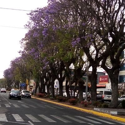 Cuenta oficial de la Mesa Directiva de la Colonia Gabriel  @PueblaAyto