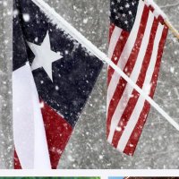 ZzzzZzzZzz (@z_heez) 's Twitter Profile