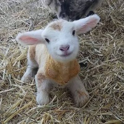rogerp2244's profile picture. 