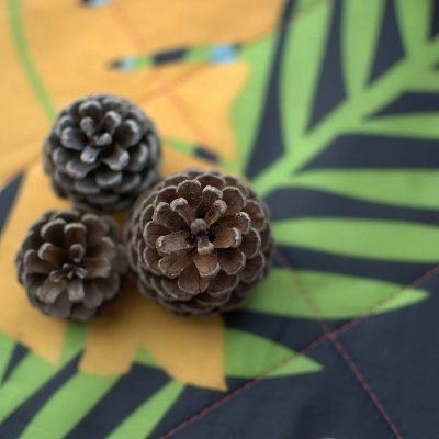 namvu80ap's profile picture. Former FTX JP, Mercari, Rakuten - Head of DevSecOps, Engineer Manager, Team Lead