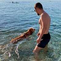 Toretto (@toretto6r) Twitter profile photo