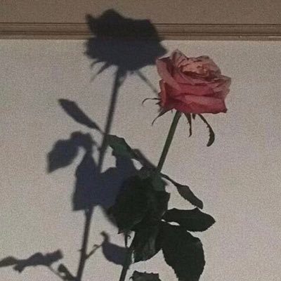 7_sylvia7's profile picture. 