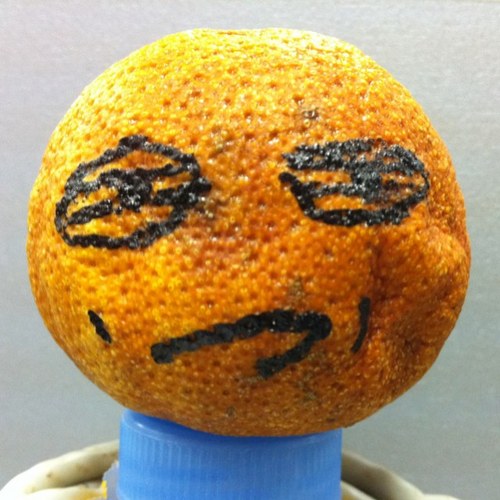 jose__jota's profile picture. 