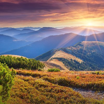 nguyenoanhkscd's profile picture. trong lành