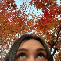 kirapigeon (@kirapigeon) 's Twitter Profile