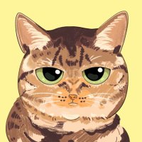 ちぃ猫　猫捜索中RT感謝(@shacih0c069) 's Twitter Profileg