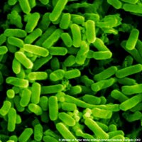 Ian Vázquez Rowe (@ianvzquezrowe) 's Twitter Profile