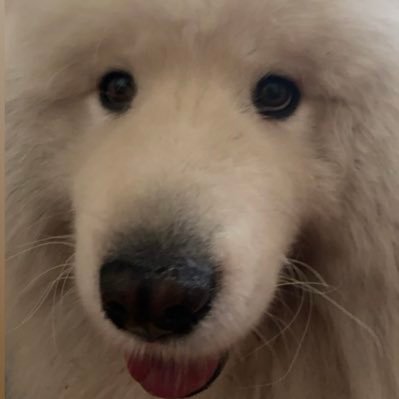 clemdussart60's profile picture. 