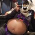 Bigger Belly Fox (@sebastianbelly) Twitter profile photo Bigger Belly Fox (@sebastianbelly) Twitter profile photo