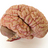 AlzheimerGuy's profile image