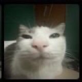 TomorrowNine's profile picture. 😎