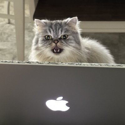 daniliantz's profile picture. are you even trying?