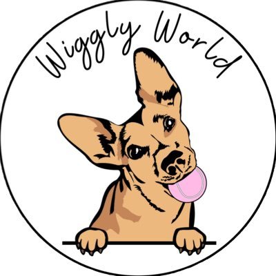 Wiggly World Pet Hotel & Lounge is Irving Park’s premier pet destination that offers a variety of loving pet care services. We also celebrate birthdays! 🎉