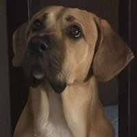 General Moragues (@moraguesg) 's Twitter Profile