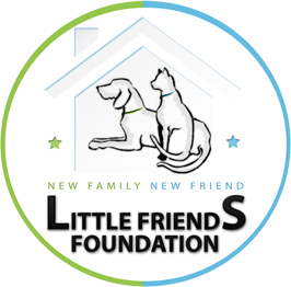 LFF Inc. is a NO-KILL pet shelter created for the purpose of helping homeless dogs and cats find new families through our innovative online adoption campaign.