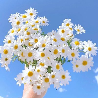 T.ema.Lさんのプロフィール画像