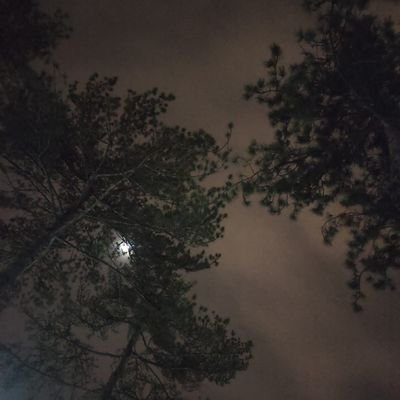 Ceku48281943's profile picture. 