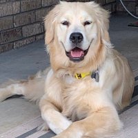Original Pig Pen (@hogs721) 's Twitter Profile