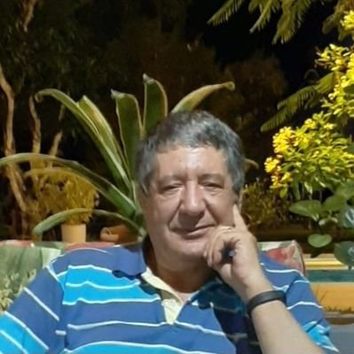 bourahli65's profile picture. 