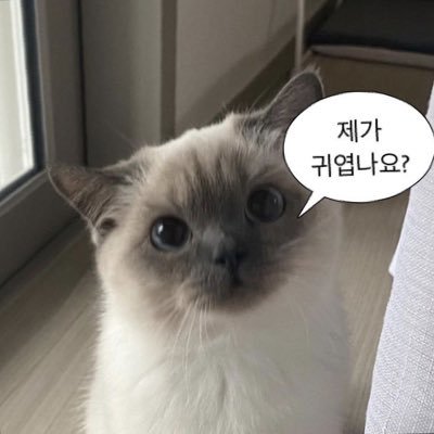 rldualdd's profile picture. 태어난지 n개월 애기 🛁