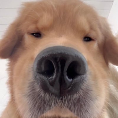 fluuuukeee's profile picture. philósophos